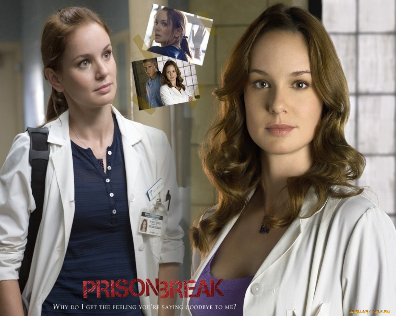 , , prison, break